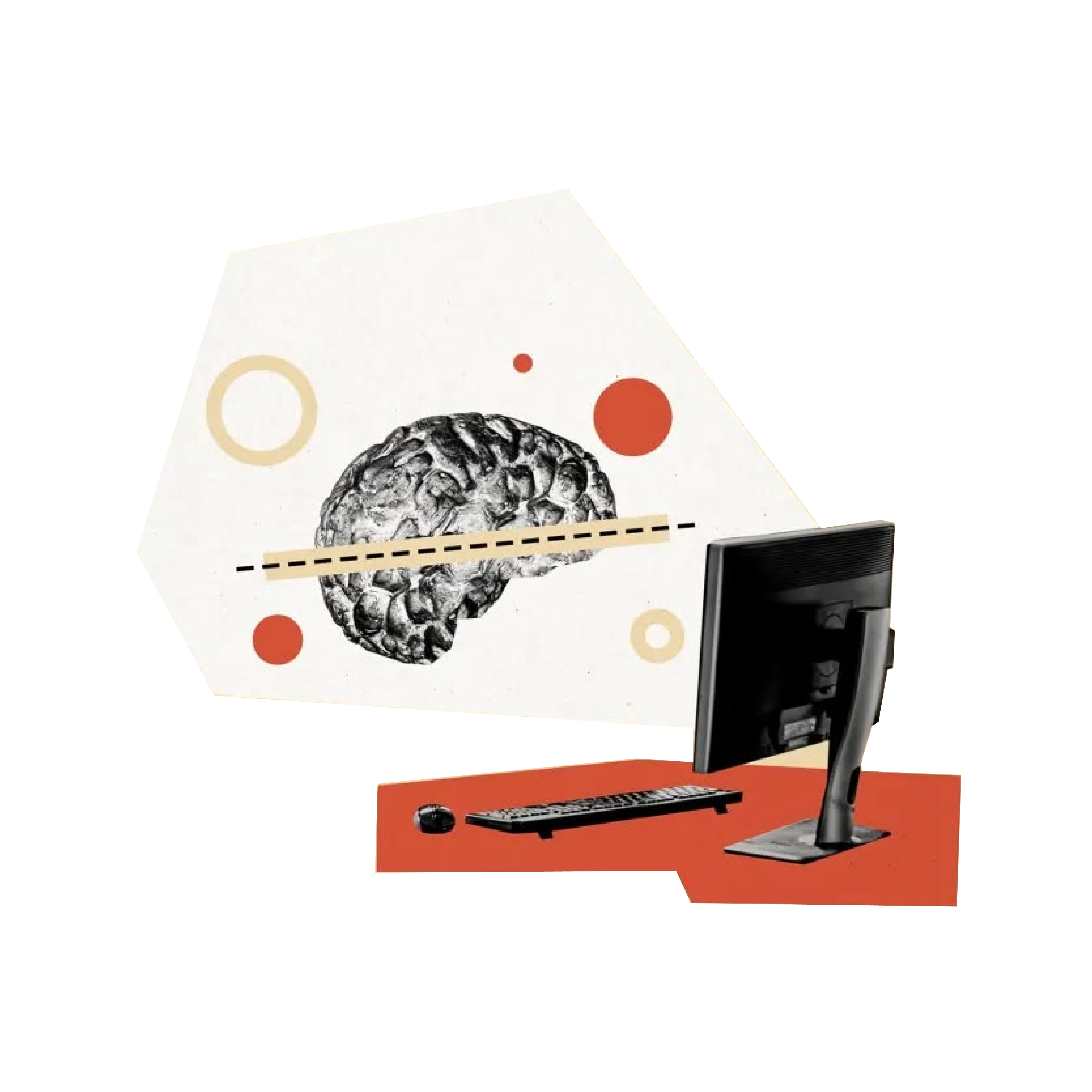 brain dendrite information